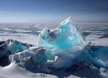 2026.3 第4期看好率排行