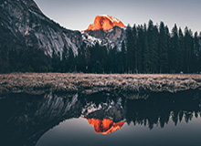 2026.3 第4期看好率排行